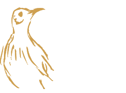 life-ricoti